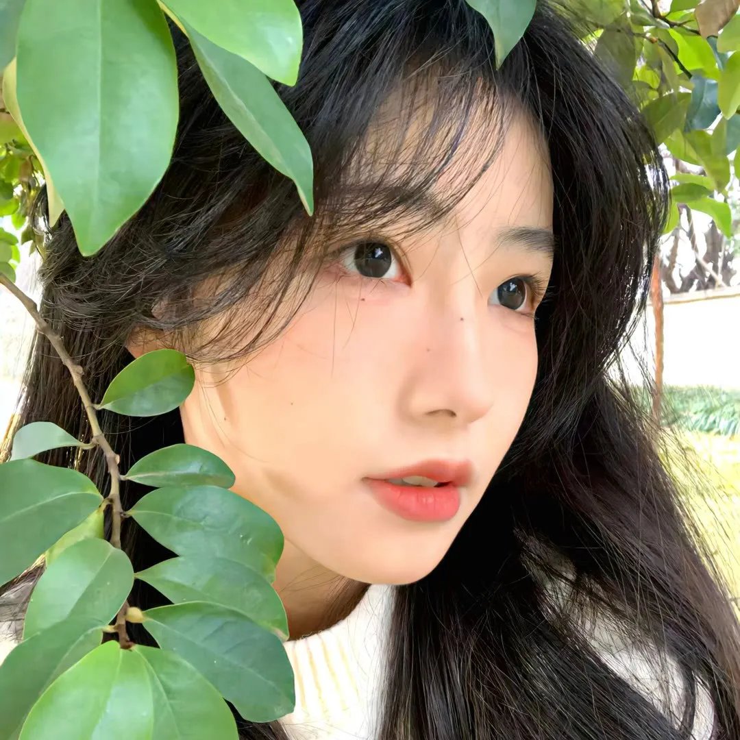 进阶的主母